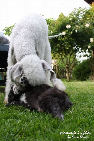Arc-en-ciel Antares 2009-06-17.JPG